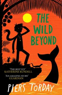 Wild Beyond, the  (The Last Wild, book 3)