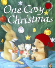 One Cosy Christmas (Little Hedgehog) PB illustr.