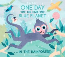 One Day On Our Blue Planet: In The Rainforest HB