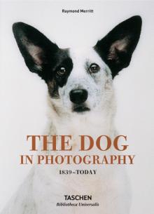 The Dog In Photography 1839-Today