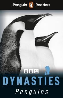 Dynasties: Penguins (Level 2) +audio