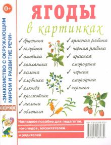 Ягоды в картинках [Нагл. пособие]