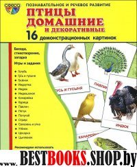 Демонстр. картинки "Птицы дом. и декор"(173х220мм)