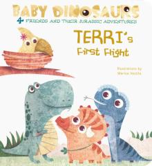 Baby Dinos: Terris First Flight  Board book'