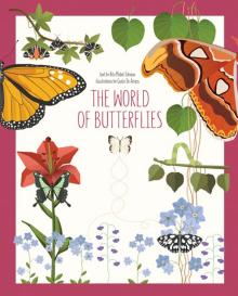 World Of Butterflies  HB