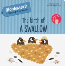 Montessori: Birth Of A Swallow