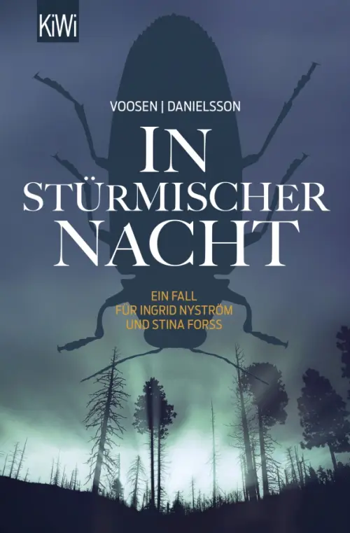 In sturmischer Nacht