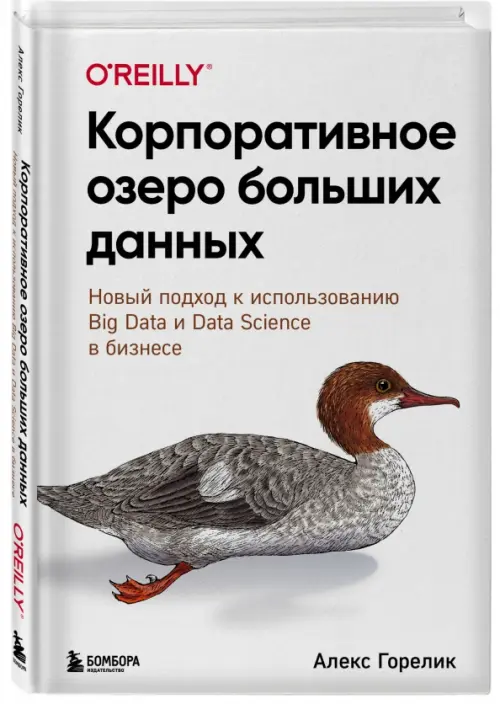 Корпоративное озеро больших данных. Новый подход к использованию Big Data и Data Science в бизнесе