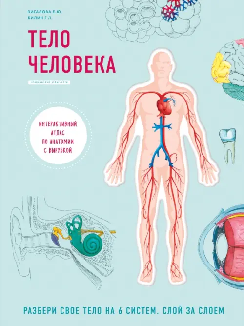 Тело человека. Интерактивный атлас по анатомии с вырубкой. Разбери свое тело на 6 систем