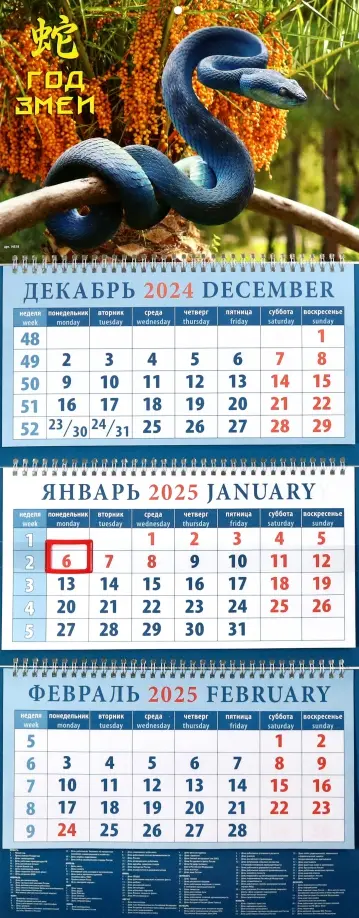 Календарь квартальный на 2025 год Год змеи