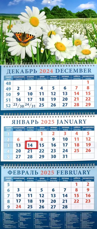 Календарь квартальный на 2025 год Ромашки и бабочка