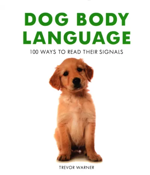 Dog Body Language. 100 Ways to Read Their Signals