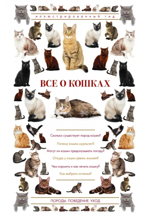 Все о кошках