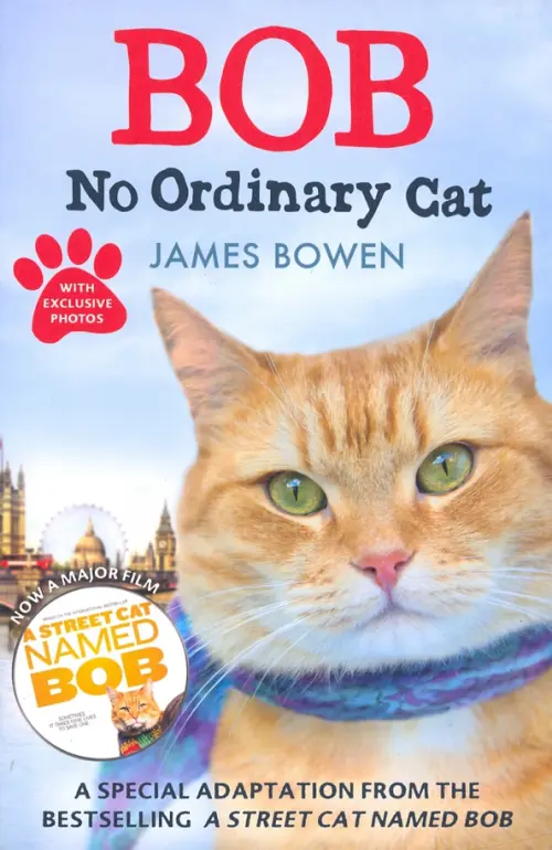 Bob: No Ordinary Cat