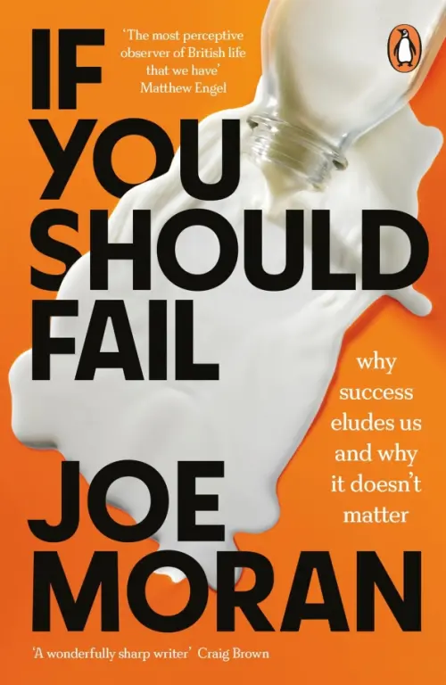 If You Should Fail. Why Success Eludes Us and Why It Doesn’t Matter