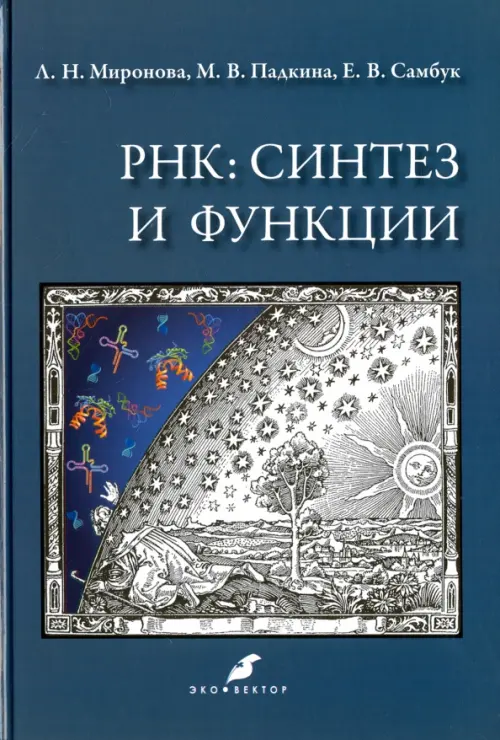 РНК. Синтез и функции. Учебное пособие