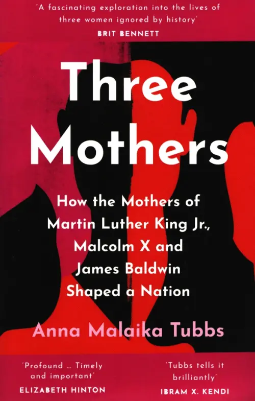 Three Mothers. How the Mothers of Martin Luther King Jr, Malcolm X and James Baldwin Shaped a Nation