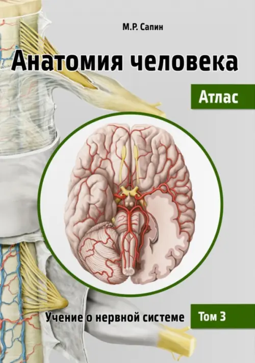 Анатомия человека. Атлас. Учебное пособие. В 3-х томах. Том 3. Учение о нервной системе