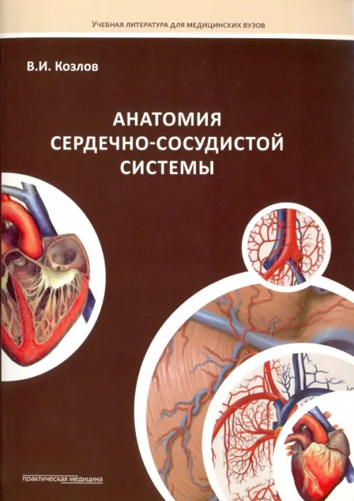 Анатомия сердечно-сосудистой системы. Учебное пособие для студентов медицинских вузов