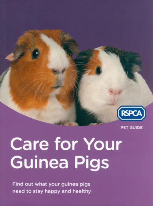 Care for Your Guinea Pigs