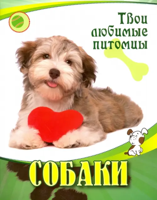 Собаки