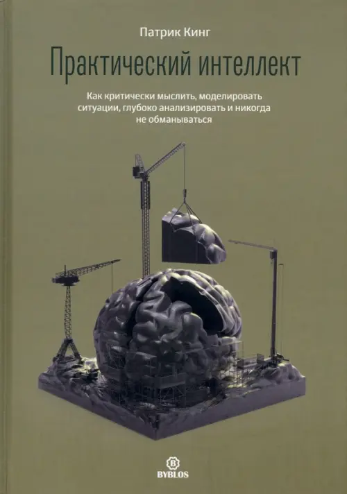 Практический интеллект. Как критически мыслить, моделировать ситуации, глубоко анализировать