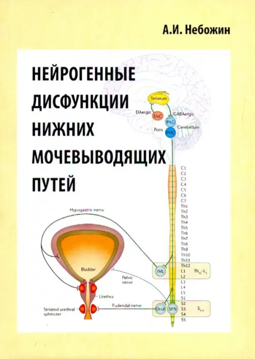 Нейрогенные дисфункции нижних мочевыводящих путей