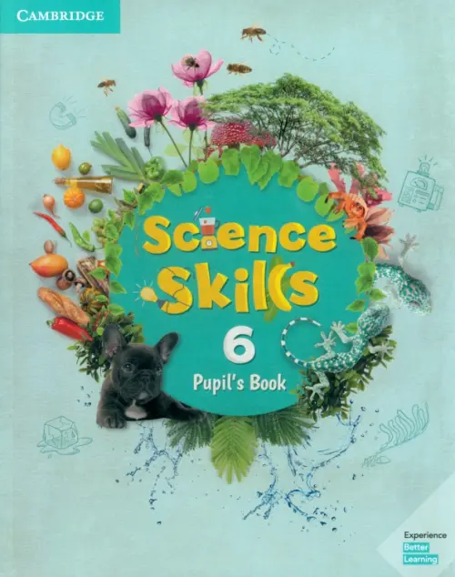 Science Skills. Level 6. Pupil's Book