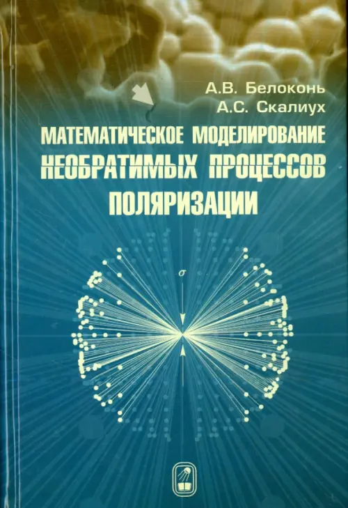 Математическое моделирование необратимых процессов поляризации