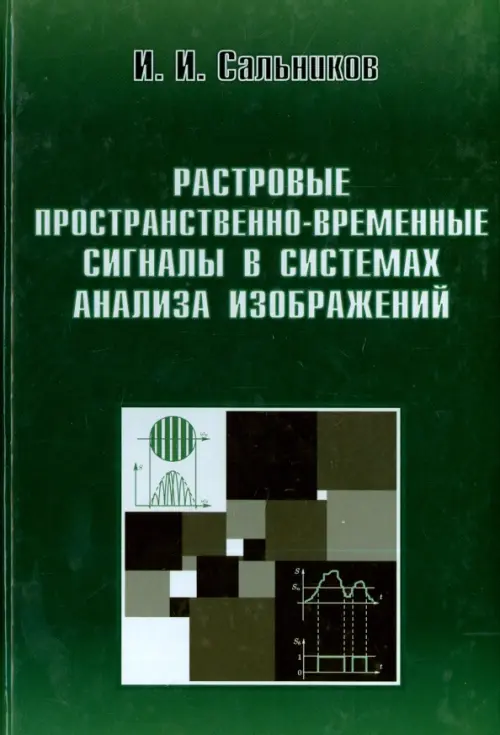 Растровые пространственно-временные сигналы в системах анализа изображений