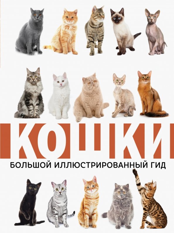 Кошки