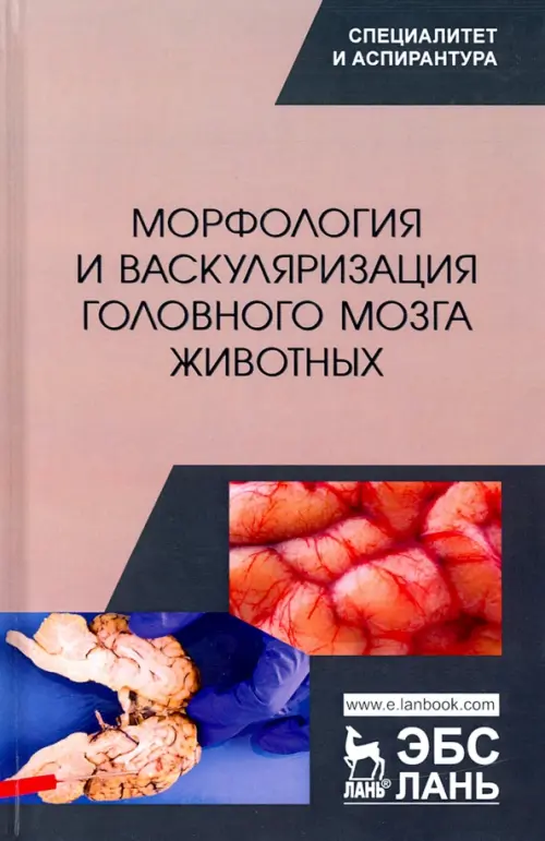 Морфология и васкуляризация головного мозга животных. Монография