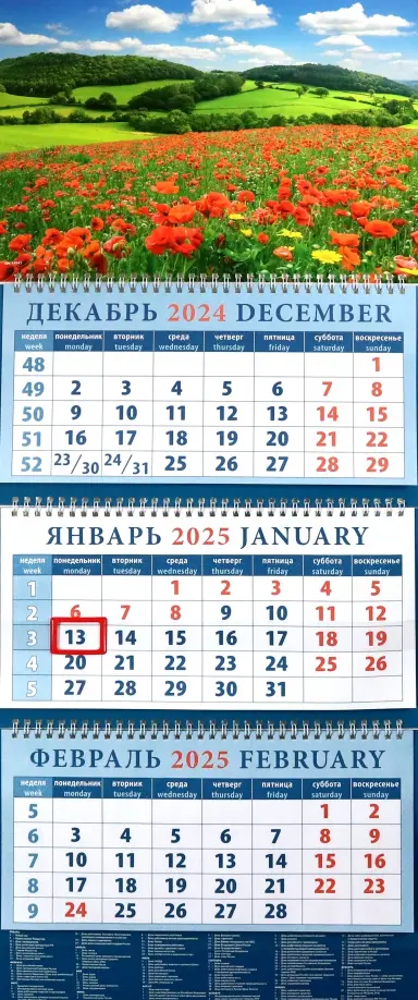 Календарь квартальный на 2025 год Пейзаж с маками